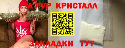 прущие грибы Новозыбков