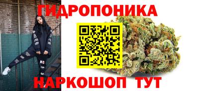 СК Новокубанск