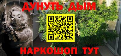 прущие грибы Новозыбков