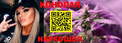 прущие грибы Новозыбков