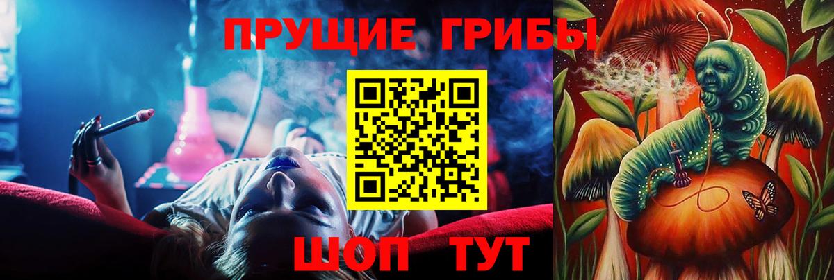 Псилоцибиновые грибы Psilocybe  купить   Вход с VPN  Алушта  Псилоцибиновые грибы GOLDEN TEACHER 